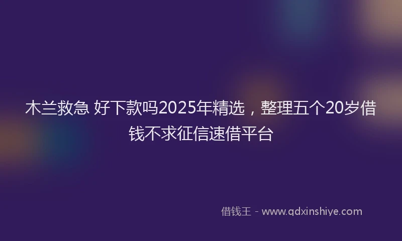 木兰救急 好下款吗2025年精选，整理五个20岁借钱不求征信速借平台
