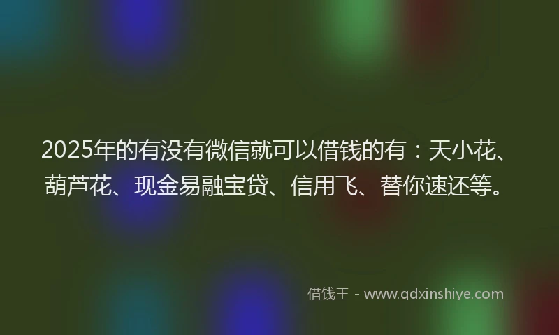 2025年的有没有微信就可以借钱的有：天小花、葫芦花、现金易融宝贷、信用飞、替你速还等。