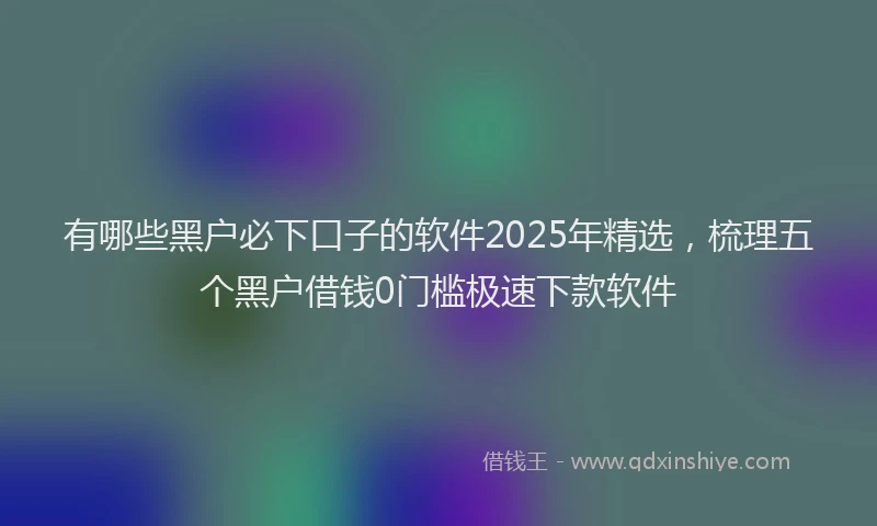 有哪些黑户必下口子的软件2025年精选，梳理五个黑户借钱0门槛极速下款软件