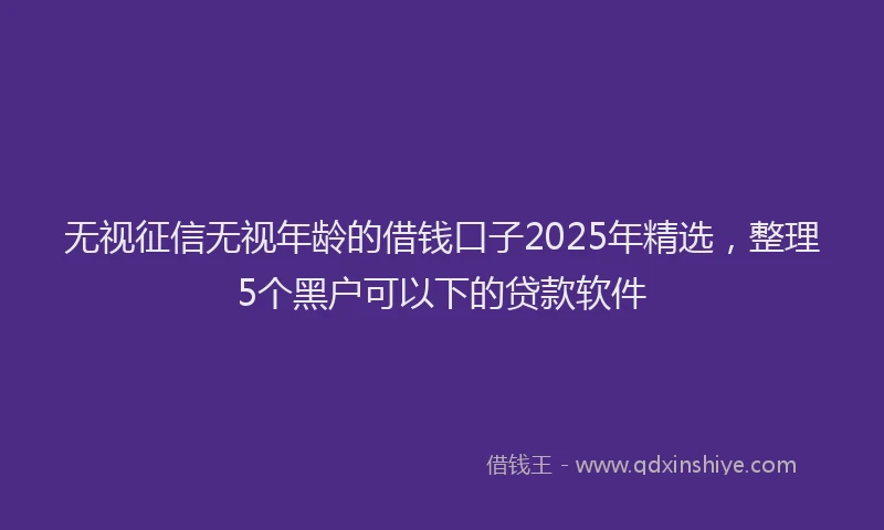 无视征信无视年龄的借钱口子2025年精选，整理5个黑户可以下的贷款软件