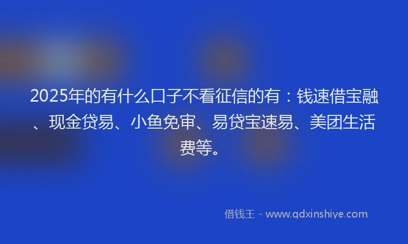 2025年的有什么口子不看征信的有：钱速借宝融、现金贷易、小鱼免审、易贷宝速易、美团生活费等。