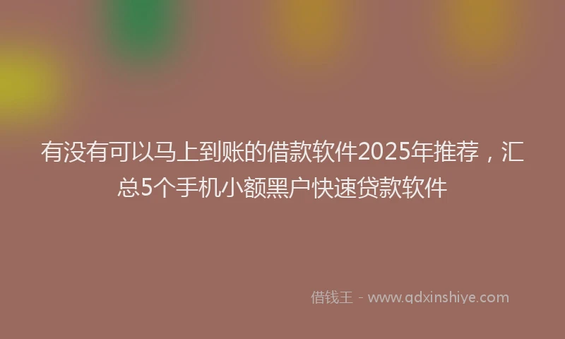 有没有可以马上到账的借款软件2025年推荐，汇总5个手机小额黑户快速贷款软件