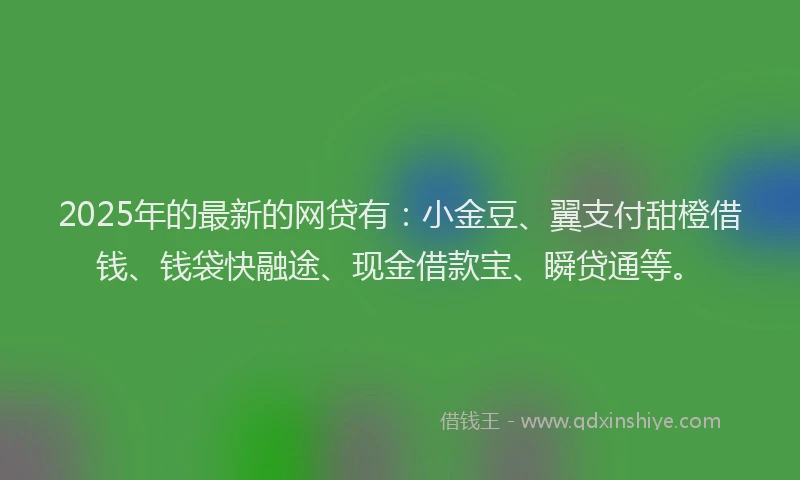 2025年的最新的网贷有：小金豆、翼支付甜橙借钱、钱袋快融途、现金借款宝、瞬贷通等。