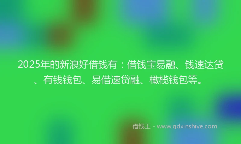 2025年的新浪好借钱有：借钱宝易融、钱速达贷、有钱钱包、易借速贷融、橄榄钱包等。