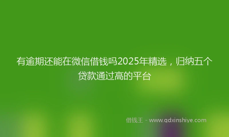 有逾期还能在微信借钱吗2025年精选，归纳五个贷款通过高的平台