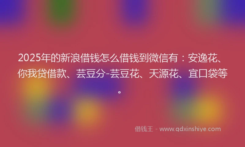 2025年的新浪借钱怎么借钱到微信有：安逸花、你我贷借款、芸豆分-芸豆花、天源花、宜口袋等。