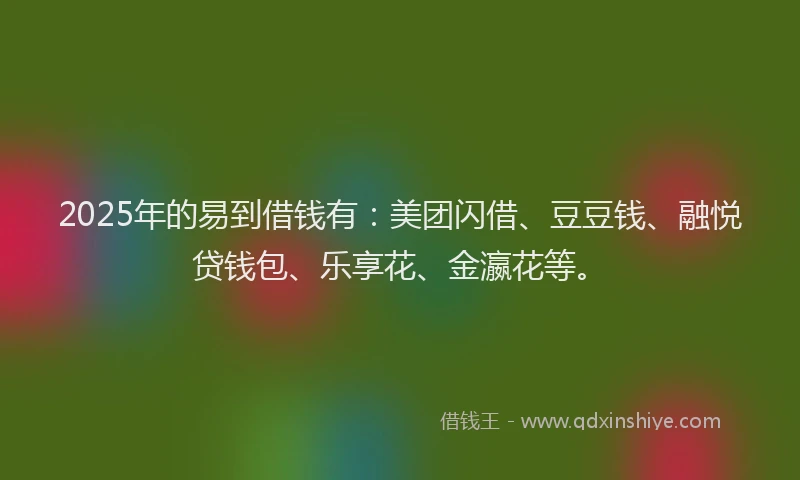 2025年的易到借钱有：美团闪借、豆豆钱、融悦贷钱包、乐享花、金瀛花等。