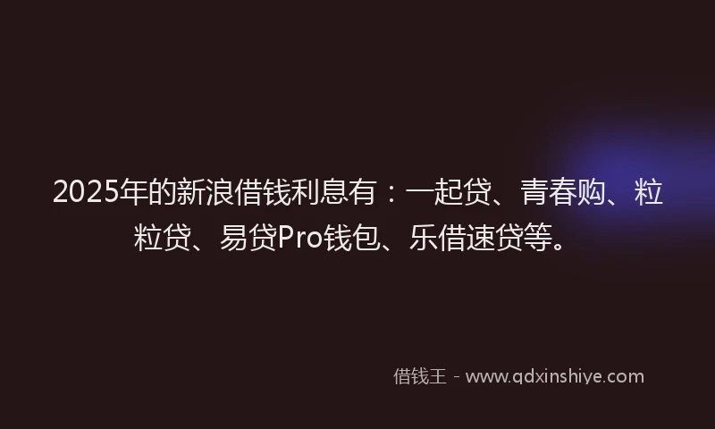 2025年的新浪借钱利息有：一起贷、青春购、粒粒贷、易贷Pro钱包、乐借速贷等。