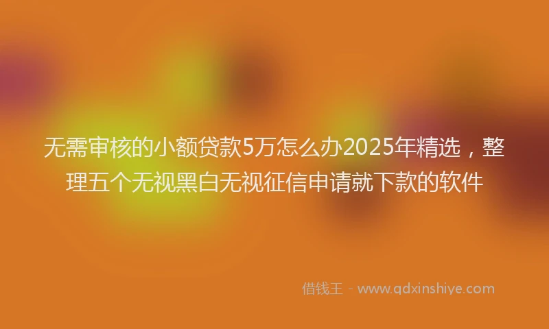 无需审核的小额贷款5万怎么办2025年精选，整理五个无视黑白无视征信申请就下款的软件