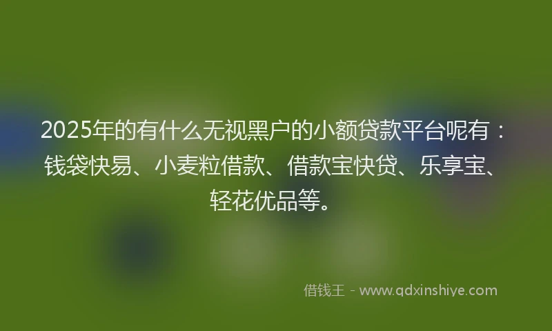2025年的有什么无视黑户的小额贷款平台呢有：钱袋快易、小麦粒借款、借款宝快贷、乐享宝、轻花优品等。