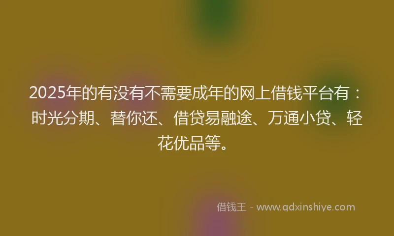2025年的有没有不需要成年的网上借钱平台有：时光分期、替你还、借贷易融途、万通小贷、轻花优品等。