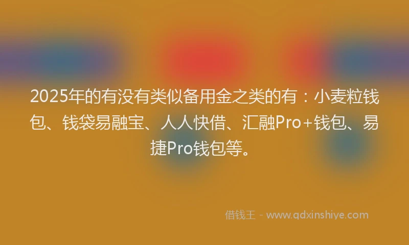 2025年的有没有类似备用金之类的有：小麦粒钱包、钱袋易融宝、人人快借、汇融Pro+钱包、易捷Pro钱包等。