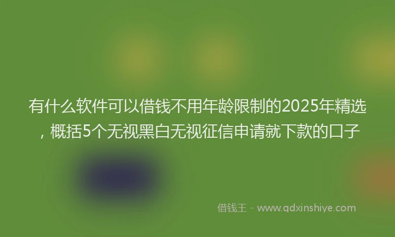 有什么软件可以借钱不用年龄限制的2025年精选，概括5个无视黑白无视征信申请就下款的口子