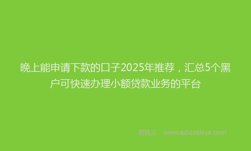 晚上能申请下款的口子2025年推荐，汇总5个黑户可快速办理小额贷款业务的平台