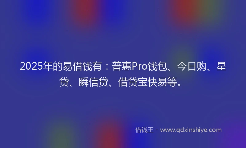 2025年的易借钱有：普惠Pro钱包、今日购、星贷、瞬信贷、借贷宝快易等。