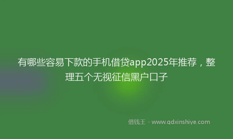 有哪些容易下款的手机借贷app2025年推荐，整理五个无视征信黑户口子