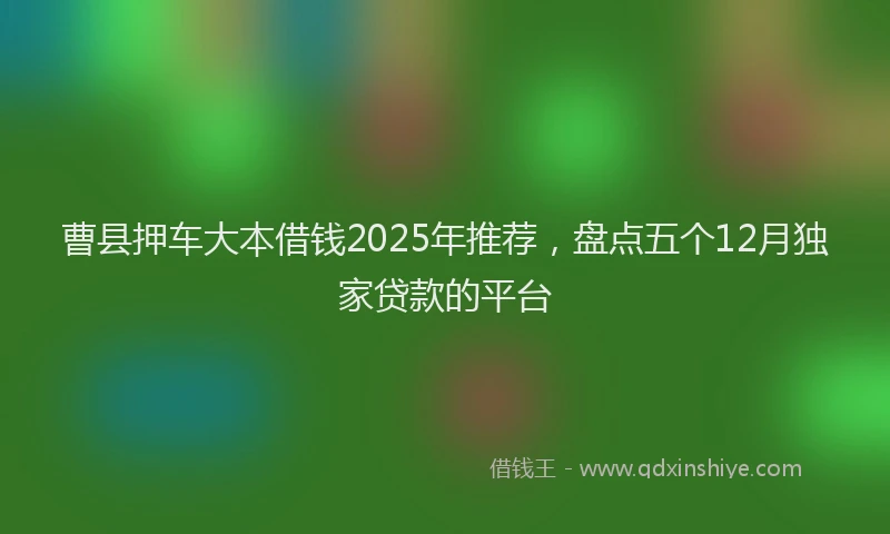 曹县押车大本借钱2025年推荐，盘点五个12月独家贷款的平台