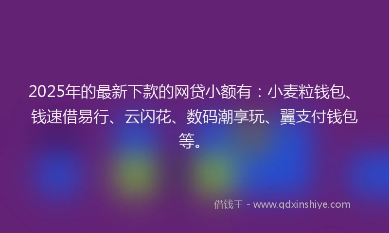 2025年的最新下款的网贷小额有：小麦粒钱包、钱速借易行、云闪花、数码潮享玩、翼支付钱包等。
