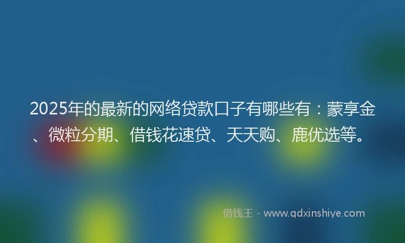 2025年的最新的网络贷款口子有哪些有：蒙享金、微粒分期、借钱花速贷、天天购、鹿优选等。
