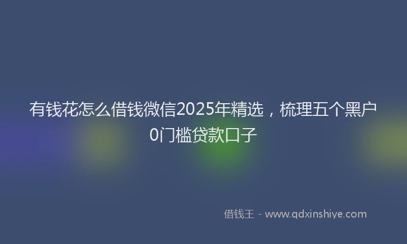 有钱花怎么借钱微信2025年精选，梳理五个黑户0门槛贷款口子