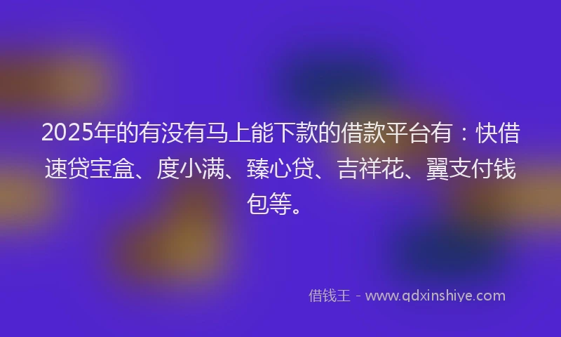 2025年的有没有马上能下款的借款平台有：快借速贷宝盒、度小满、臻心贷、吉祥花、翼支付钱包等。