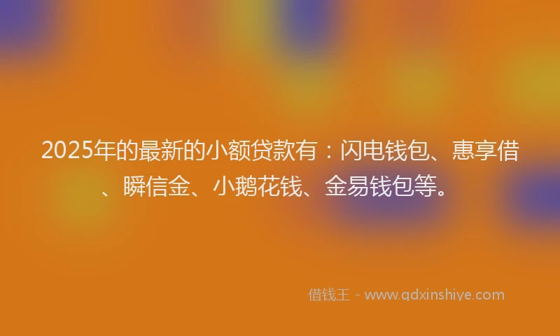 2025年的最新的小额贷款有：闪电钱包、惠享借、瞬信金、小鹅花钱、金易钱包等。