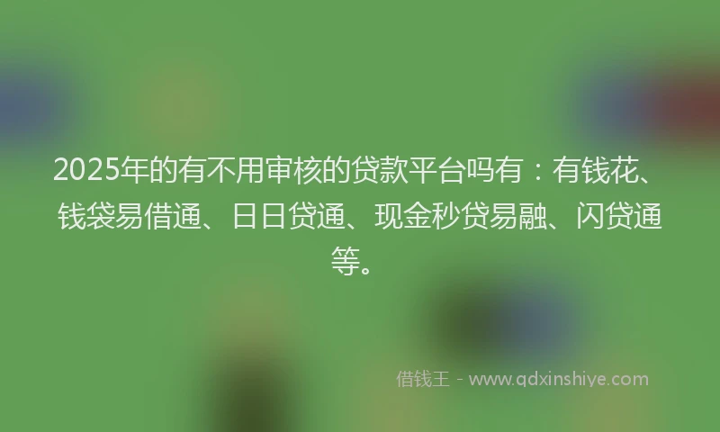 2025年的有不用审核的贷款平台吗有：有钱花、钱袋易借通、日日贷通、现金秒贷易融、闪贷通等。