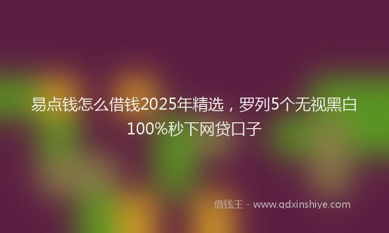 易点钱怎么借钱2025年精选，罗列5个无视黑白100%秒下网贷口子