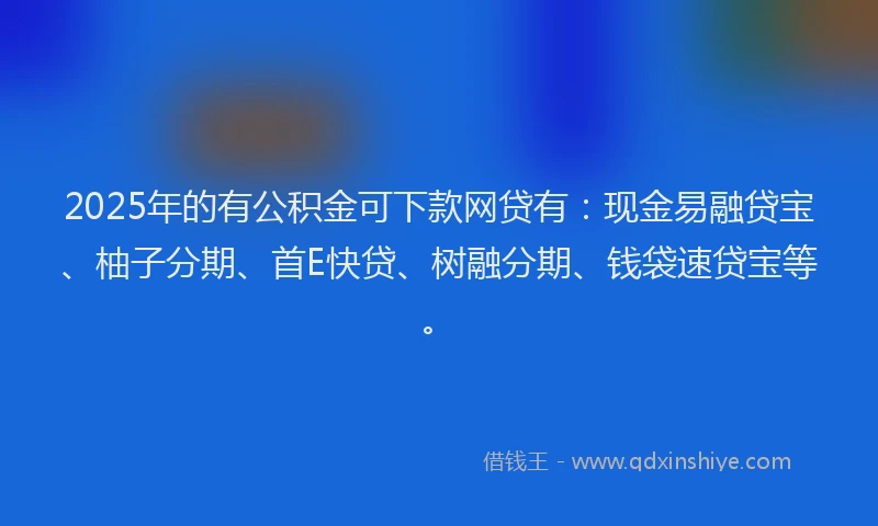 2025年的有公积金可下款网贷有：现金易融贷宝、柚子分期、首E快贷、树融分期、钱袋速贷宝等。