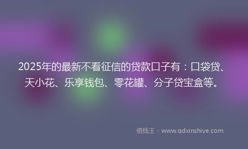 2025年的最新不看征信的贷款口子有：口袋贷、天小花、乐享钱包、零花罐、分子贷宝盒等。