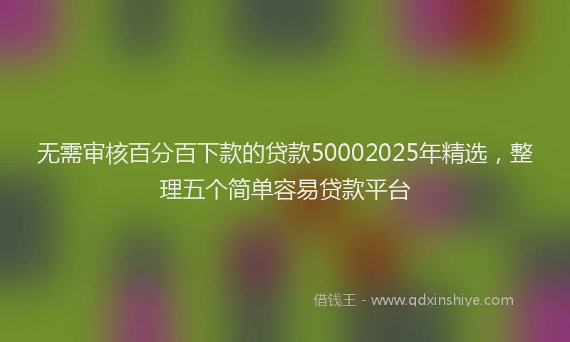 无需审核百分百下款的贷款50002025年精选，整理五个简单容易贷款平台