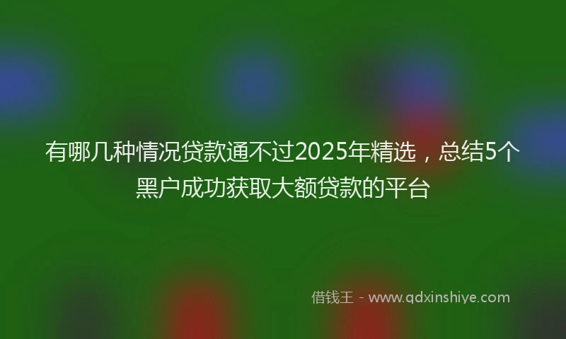 有哪几种情况贷款通不过2025年精选，总结5个黑户成功获取大额贷款的平台