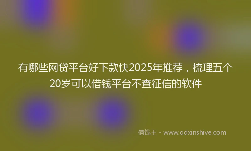 有哪些网贷平台好下款快2025年推荐，梳理五个20岁可以借钱平台不查征信的软件