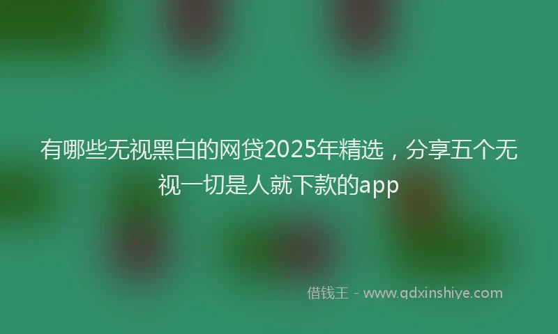 有哪些无视黑白的网贷2025年精选，分享五个无视一切是人就下款的app