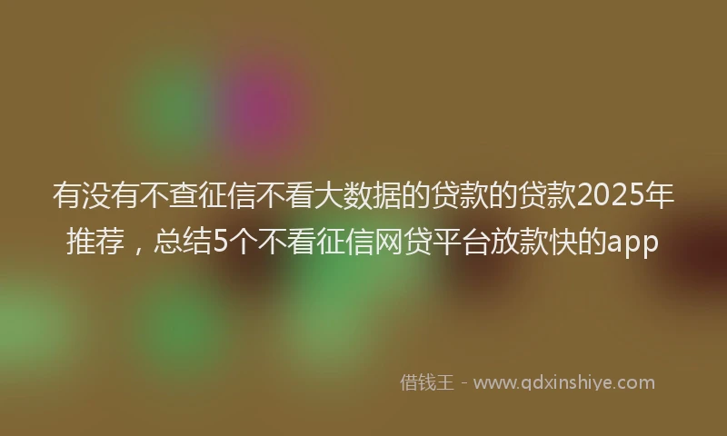 有没有不查征信不看大数据的贷款的贷款2025年推荐，总结5个不看征信网贷平台放款快的app