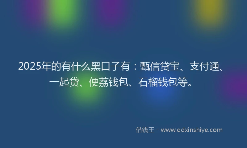 2025年的有什么黑口子有：甄信贷宝、支付通、一起贷、便荔钱包、石榴钱包等。