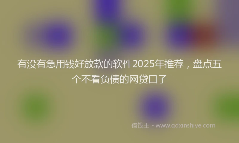 有没有急用钱好放款的软件2025年推荐，盘点五个不看负债的网贷口子