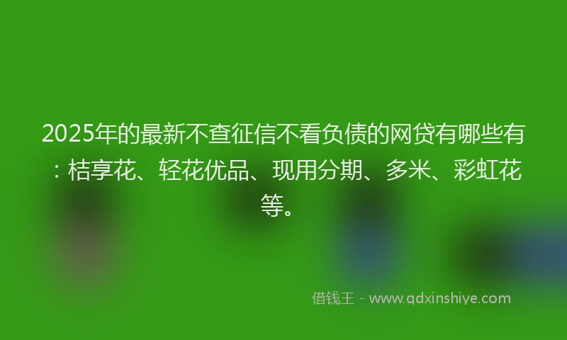 2025年的最新不查征信不看负债的网贷有哪些有：桔享花、轻花优品、现用分期、多米、彩虹花等。