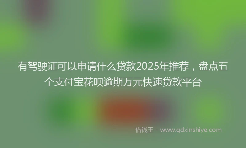 有驾驶证可以申请什么贷款2025年推荐，盘点五个支付宝花呗逾期万元快速贷款平台