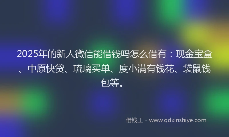 2025年的新人微信能借钱吗怎么借有：现金宝盒、中原快贷、琉璃买单、度小满有钱花、袋鼠钱包等。