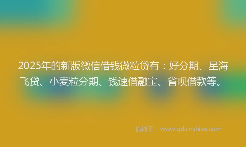 2025年的新版微信借钱微粒贷有：好分期、星海飞贷、小麦粒分期、钱速借融宝、省呗借款等。