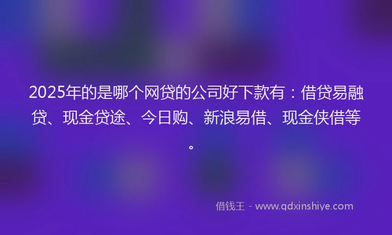 2025年的是哪个网贷的公司好下款有：借贷易融贷、现金贷途、今日购、新浪易借、现金侠借等。