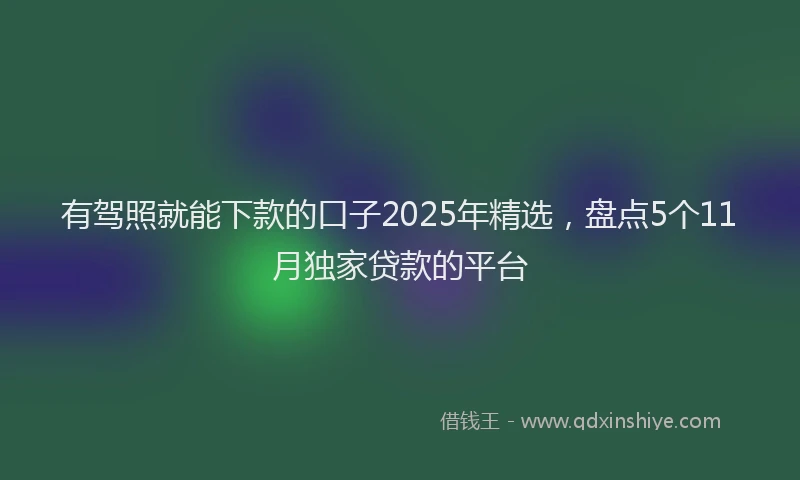 有驾照就能下款的口子2025年精选，盘点5个11月独家贷款的平台