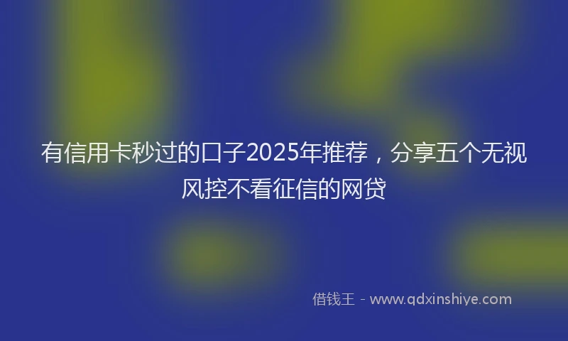 有信用卡秒过的口子2025年推荐，分享五个无视风控不看征信的网贷
