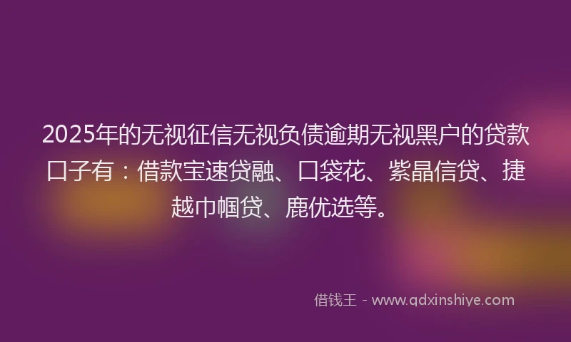 2025年的无视征信无视负债逾期无视黑户的贷款口子有：借款宝速贷融、口袋花、紫晶信贷、捷越巾帼贷、鹿优选等。