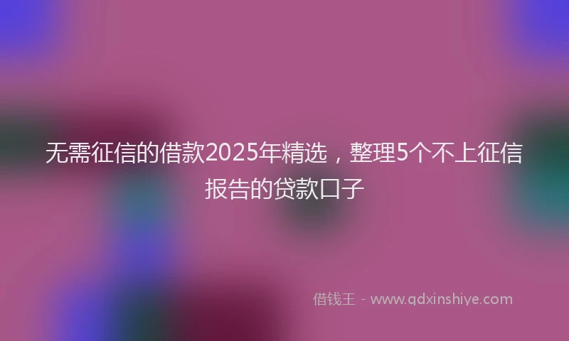 无需征信的借款2025年精选，整理5个不上征信报告的贷款口子