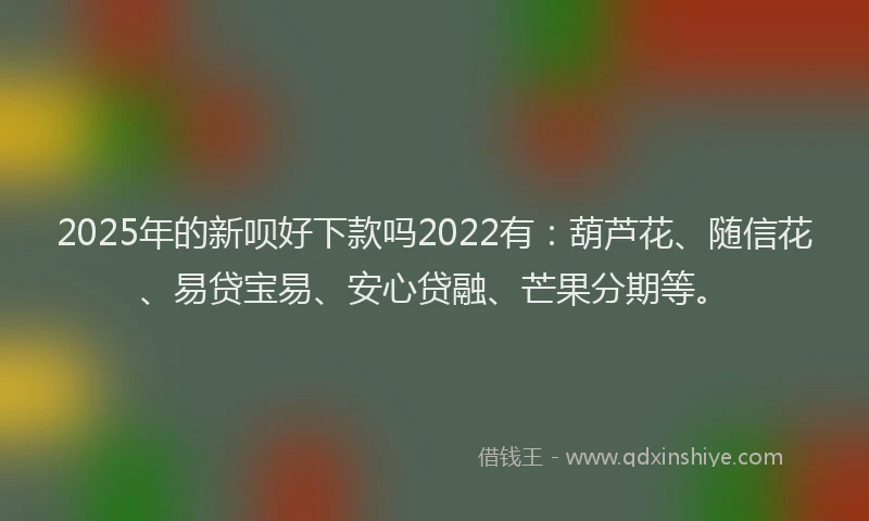 2025年的新呗好下款吗2022有：葫芦花、随信花、易贷宝易、安心贷融、芒果分期等。
