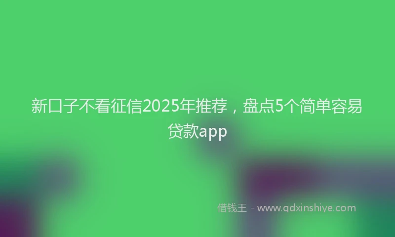 新口子不看征信2025年推荐，盘点5个简单容易贷款app