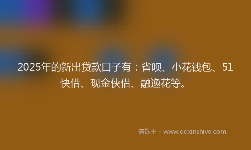 2025年的新出贷款口子有：省呗、小花钱包、51快借、现金侠借、融逸花等。