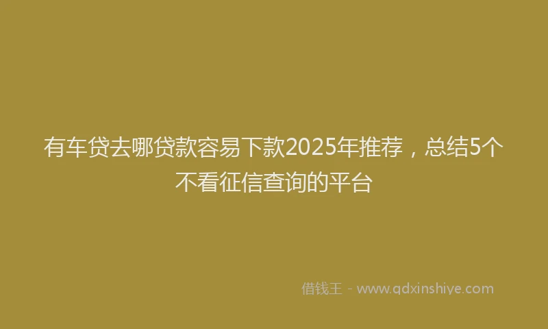 有车贷去哪贷款容易下款2025年推荐，总结5个不看征信查询的平台